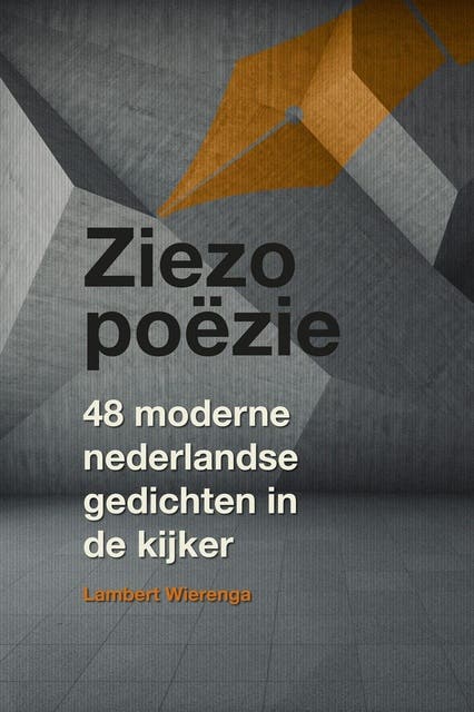 Ziezo poezie: 48 moderne Nederlandse gedichten in de kijker