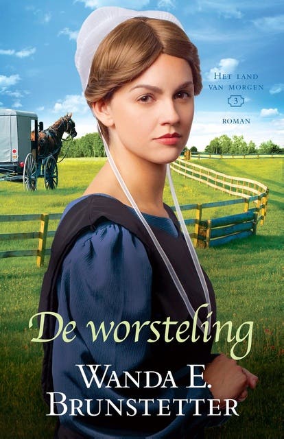 De worsteling: roman