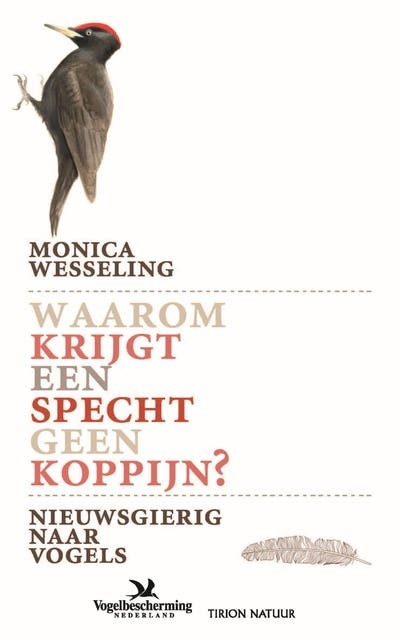 Waarom krijgt een specht geen koppijn