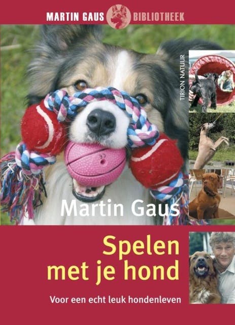 Spelen met je hond: houd je hond actief en gezond