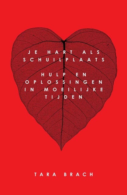 Je hart als schuilplaats: hulp en oplossingen in moeilijke tijden