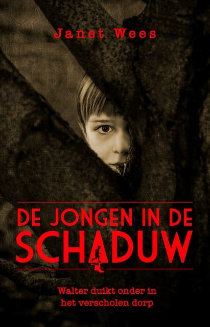 De jongen in de schaduw: Walter duikt onder in het verscholen dorp