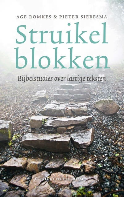 Struikelblokken: Bijbelstudies over lastige teksten