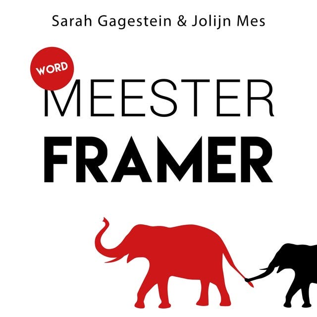 Word Meesterframer: Anderen overtuigen door je boodschap slim te framen met de juiste woorden