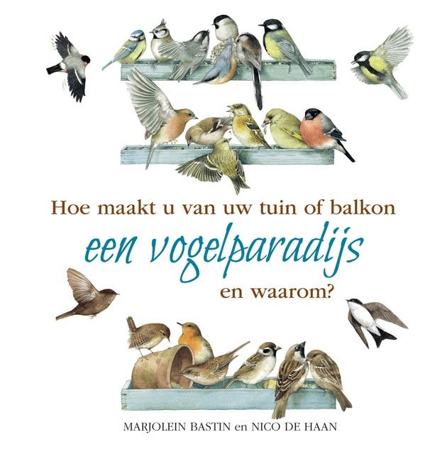 Hoe maakt u van uw tuin of balkon een vogelparadijs