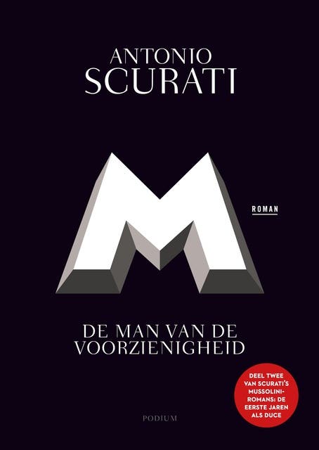De man van de voorzienigheid