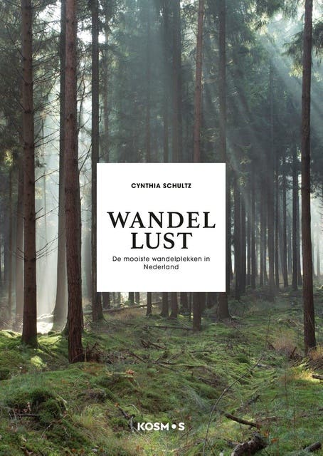 Wandellust: De mooiste wandelplekken in Nederland