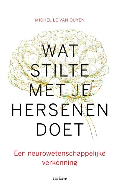 Wat stilte met je hersenen doet: Een neurowetenschappelijke verkenning