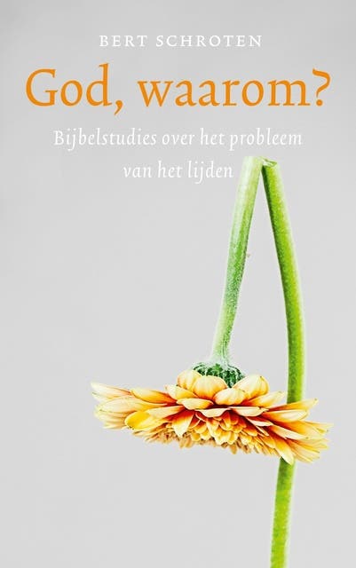 God, waarom?: Bijbelstudies over het probleem van het lijden