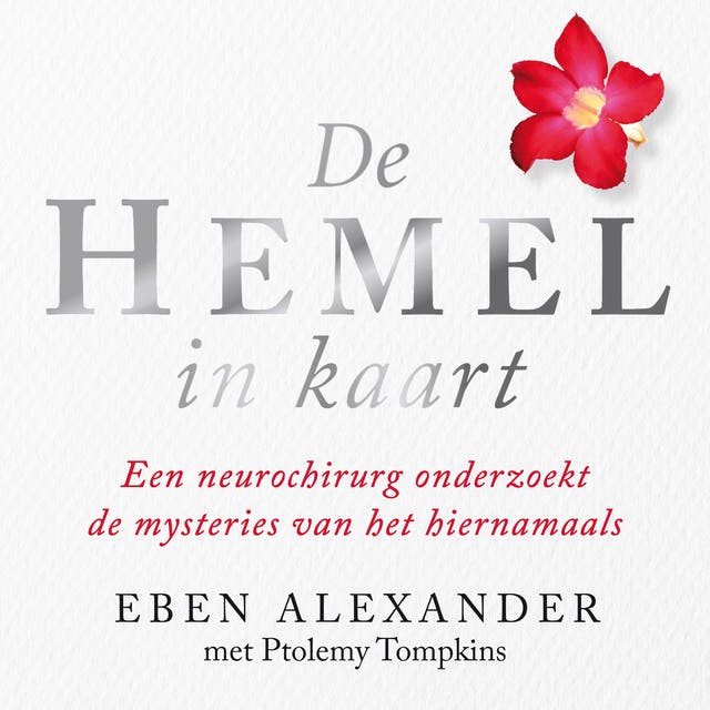 De hemel in kaart: Een neurochirurg onderzoekt de mysteries van het hiernamaals
