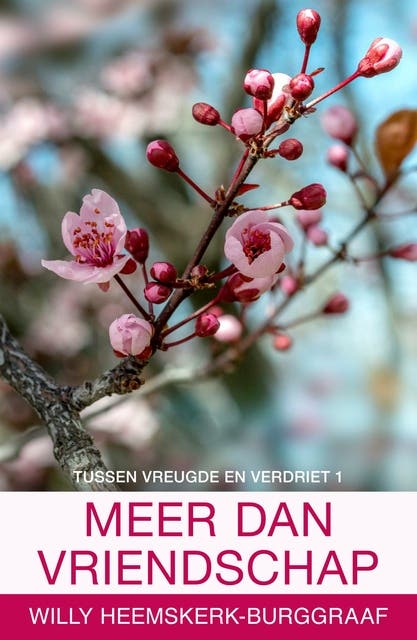 Meer dan vriendschap