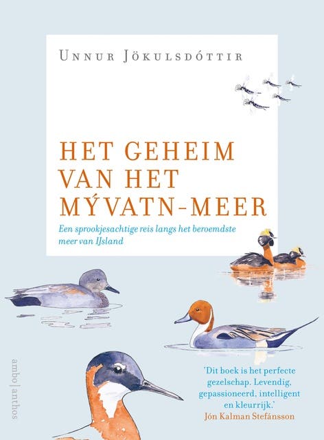 Het geheim van het Mývatn-meer: Een sprookjesachtige reis langs het beroemdste meer van IJsland