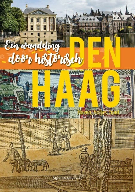 Een wandeling door historisch Den Haag: Hoven, hofjes, hout