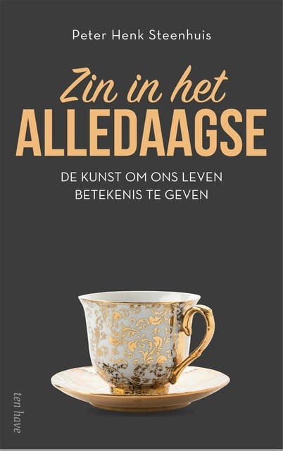 Zin in het alledaagse: Verhalen over hoe het leven betekenis krijgt