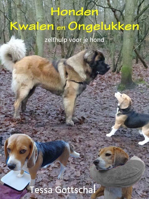 Honden kwalen en ongelukken: Zelfhulp voor je hond