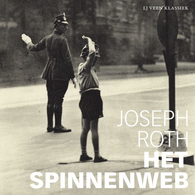 Het spinnenweb