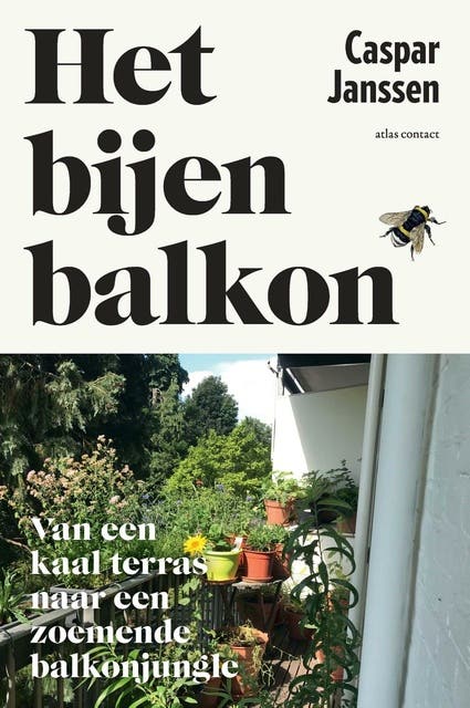 Het bijenbalkon: hoe tover je een saai stadsbalkon om tot een insectenparadijs?