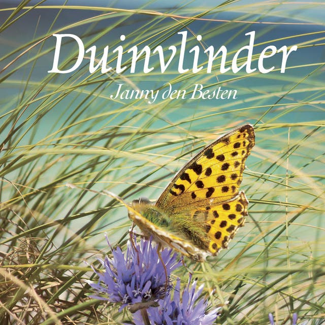 Duinvlinder