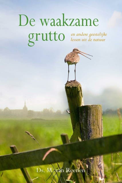 De waakzame grutto: en andere geestelijke lessen uit de natuur