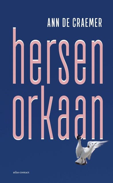 Hersenorkaan