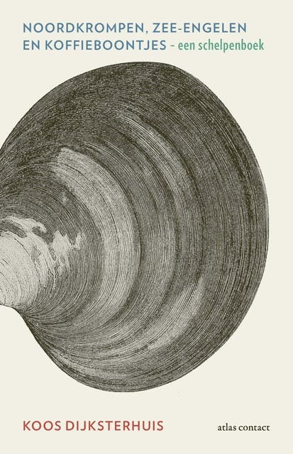 Noordkrompen, zeeengelen en koffieboontjes: een schelpenboek