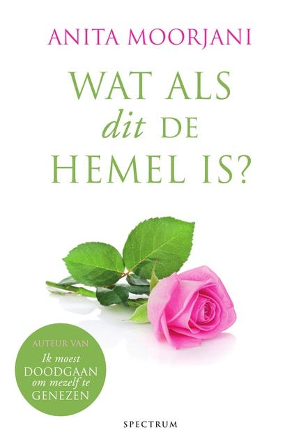 Wat als dit de hemel is?: Hoe onze culturele mythen voorkomen dat we de hemel op aarde ervaren
