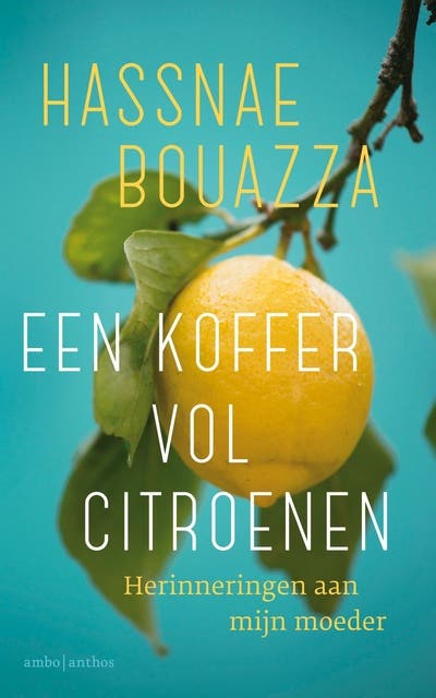 Een koffer vol citroenen: Herinneringen aan mijn moeder