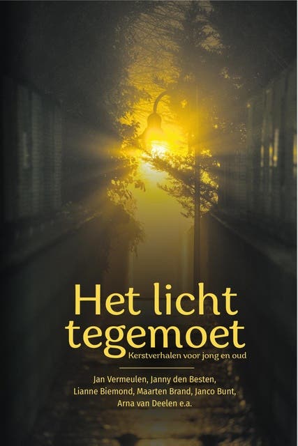 Het licht tegemoet: Kerstverhalen voor jong en oud