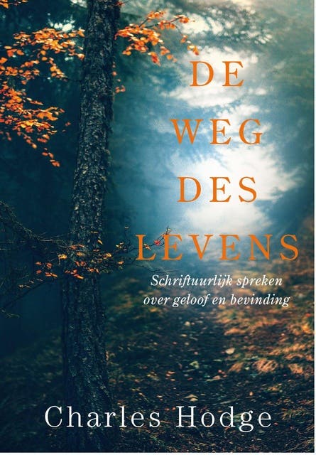 De weg des levens: Schriftuurlijk spreken over geloof en bevinding