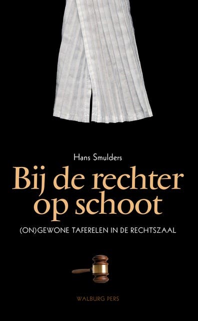 Bij de rechter op schoot: (on)gewone taferelen in de rechtszaal