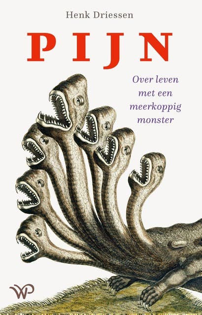 Pijn: Over leven met een meerkoppig monster
