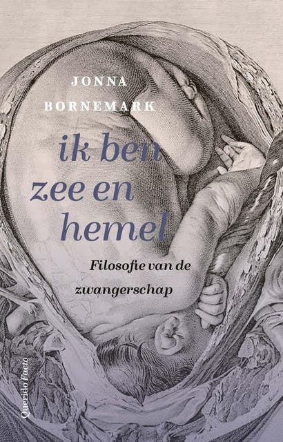 ik ben zee en hemel: Filosofie van de zwangerschap