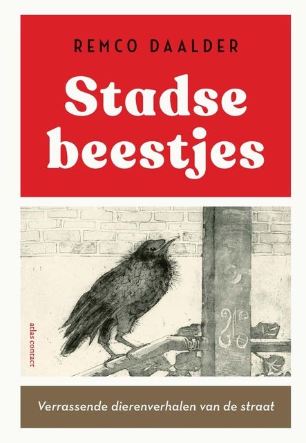 Stadse beestjes: verrassende dierenverhalen van de straat