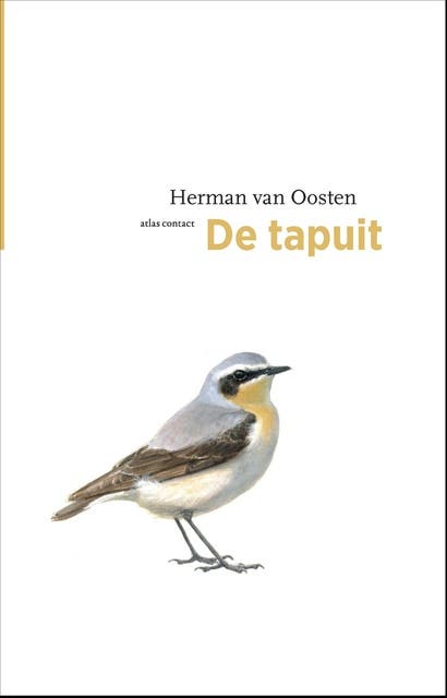 De tapuit