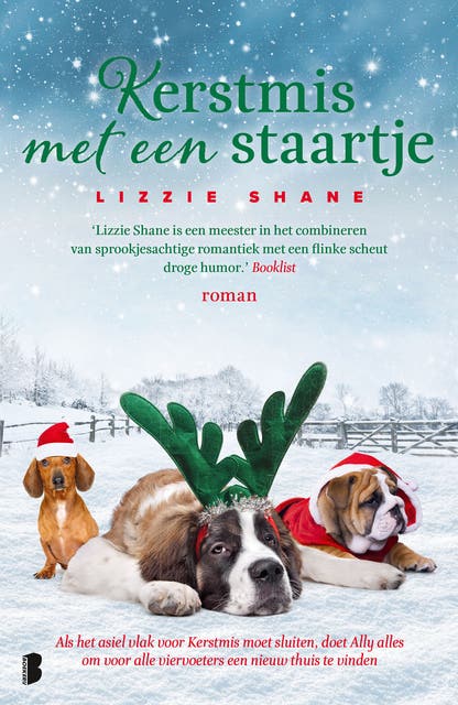 Kerstmis met een staartje: Als het asiel vlak voor Kerstmis moet sluiten, doet Ally alles om voor alle viervoeters een nieuw thuis te vinden