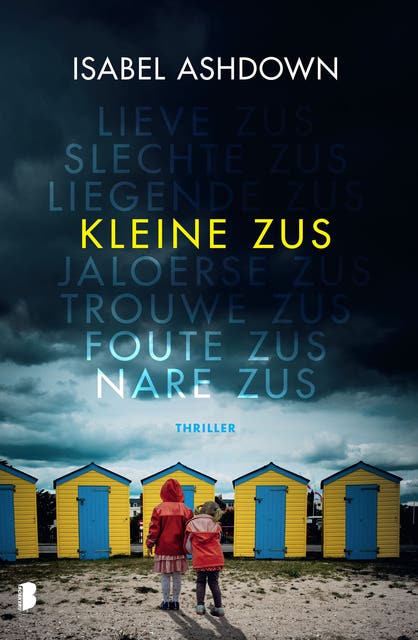 Kleine zus: Een vermist kind. Een radeloze moeder. Een zus die zich niets kan herinneren.