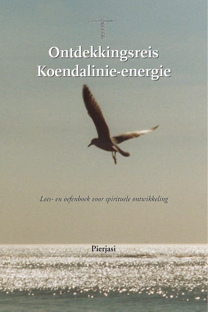 Ontdekkingsreis Koendalinie-energie: Lees- en oefenboek voor spirituele ontwikkeling