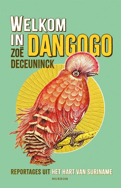 Welkom in Dangogo: Reportages uit het hart van Suriname
