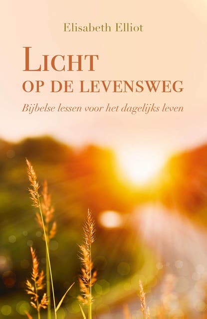 Licht op de levensweg: Bijbelse lessen voor het dagelijks leven