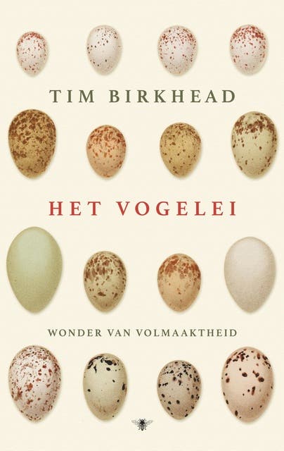 Het vogelei: wonder van volmaaktheid