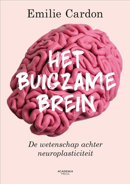 Het buigzame brein: De wetenschap achter breinplasticiteit