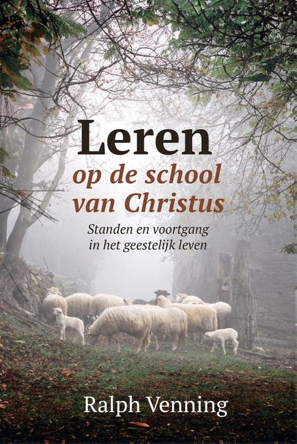 Leren op de school van Christus: Standen en voortgang in het geestelijk leven