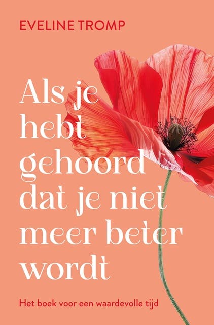 Als je hebt gehoord dat je niet meer beter wordt: Het boek voor een waardevolle tijd