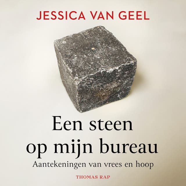 Een steen op mijn bureau: Aantekeningen van vrees en hoop