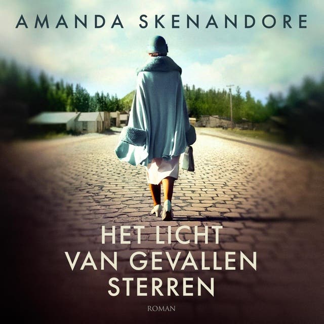 Het licht van gevallen sterren
