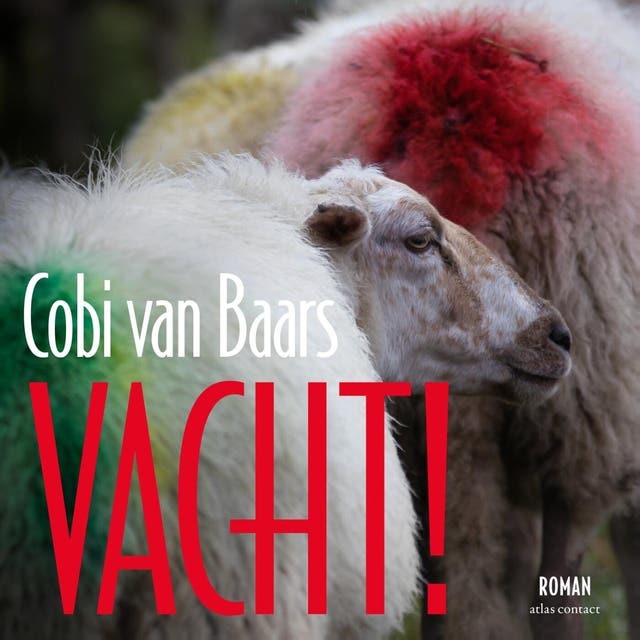 Vacht!